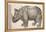 1551 Gesner Armoured Rhino After Durer-Paul Stewart-Framed Premier Image Canvas