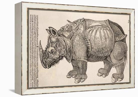 1551 Gesner Armoured Rhino After Durer-Paul Stewart-Framed Premier Image Canvas