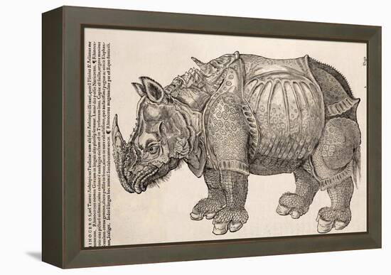 1551 Gesner Armoured Rhino After Durer-Paul Stewart-Framed Premier Image Canvas