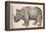 1551 Gesner Armoured Rhino After Durer-Paul Stewart-Framed Premier Image Canvas