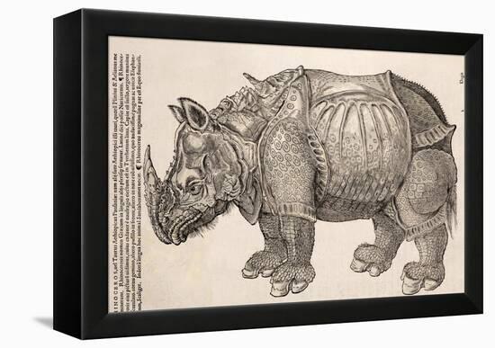 1551 Gesner Armoured Rhino After Durer-Paul Stewart-Framed Premier Image Canvas