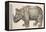 1551 Gesner Armoured Rhino After Durer-Paul Stewart-Framed Premier Image Canvas