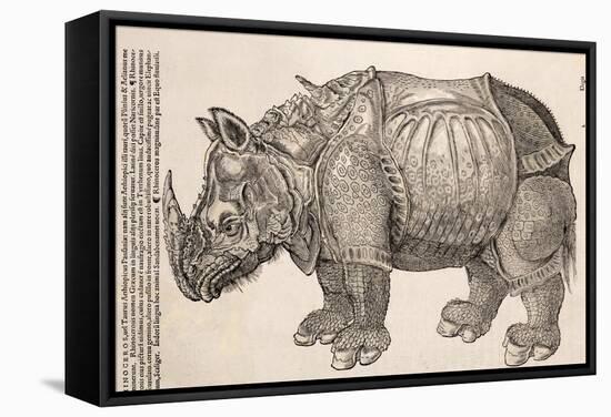 1551 Gesner Armoured Rhino After Durer-Paul Stewart-Framed Premier Image Canvas