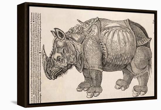 1551 Gesner Armoured Rhino After Durer-Paul Stewart-Framed Premier Image Canvas