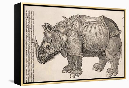 1551 Gesner Armoured Rhino After Durer-Paul Stewart-Framed Premier Image Canvas