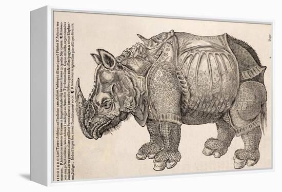 1551 Gesner Armoured Rhino After Durer-Paul Stewart-Framed Premier Image Canvas