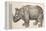 1551 Gesner Armoured Rhino After Durer-Paul Stewart-Framed Premier Image Canvas