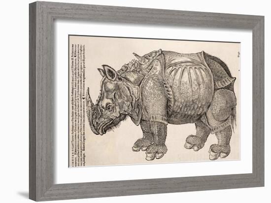 1551 Gesner Armoured Rhino After Durer-Paul Stewart-Framed Photographic Print