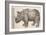 1551 Gesner Armoured Rhino After Durer-Paul Stewart-Framed Photographic Print