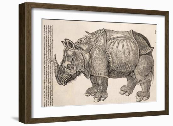 1551 Gesner Armoured Rhino After Durer-Paul Stewart-Framed Photographic Print