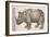 1551 Gesner Armoured Rhino After Durer-Paul Stewart-Framed Photographic Print