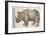 1551 Gesner Armoured Rhino After Durer-Paul Stewart-Framed Photographic Print