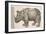 1551 Gesner Armoured Rhino After Durer-Paul Stewart-Framed Photographic Print