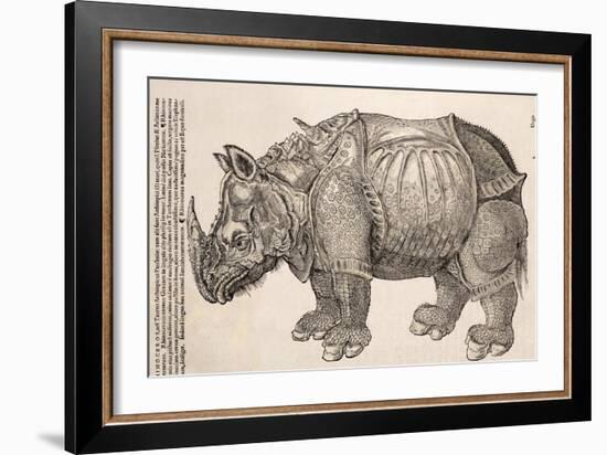 1551 Gesner Armoured Rhino After Durer-Paul Stewart-Framed Photographic Print