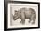 1551 Gesner Armoured Rhino After Durer-Paul Stewart-Framed Photographic Print