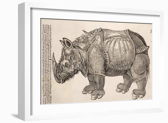 1551 Gesner Armoured Rhino After Durer-Paul Stewart-Framed Photographic Print