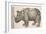 1551 Gesner Armoured Rhino After Durer-Paul Stewart-Framed Photographic Print