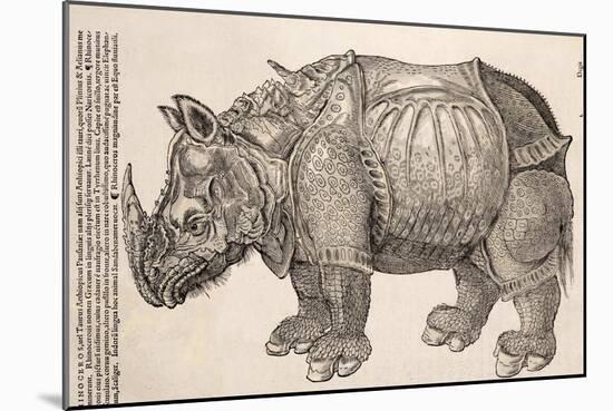 1551 Gesner Armoured Rhino After Durer-Paul Stewart-Mounted Photographic Print