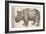 1551 Gesner Armoured Rhino After Durer-Paul Stewart-Framed Photographic Print
