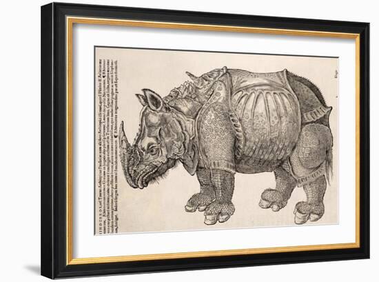 1551 Gesner Armoured Rhino After Durer-Paul Stewart-Framed Photographic Print