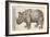 1551 Gesner Armoured Rhino After Durer-Paul Stewart-Framed Photographic Print