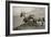 1558-Mustangs-2016-B&W-Gordon Semmens-Framed Photographic Print