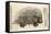 1560 Conrad Gesner Crested Porcupine-Paul Stewart-Framed Premier Image Canvas