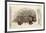 1560 Conrad Gesner Crested Porcupine-Paul Stewart-Framed Photographic Print