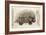 1560 Conrad Gesner Crested Porcupine-Paul Stewart-Framed Photographic Print