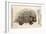 1560 Conrad Gesner Crested Porcupine-Paul Stewart-Framed Photographic Print