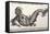 1560 Gesner Mermaid Sea Monster-Paul Stewart-Framed Premier Image Canvas