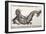 1560 Gesner Mermaid Sea Monster-Paul Stewart-Framed Photographic Print