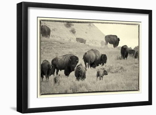 1567 Badlands B&W-Gordon Semmens-Framed Photographic Print