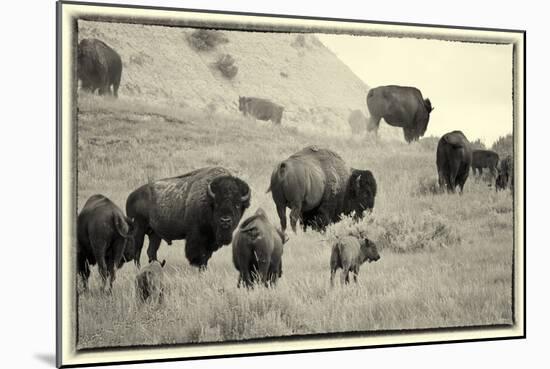 1567 Badlands B&W-Gordon Semmens-Mounted Photographic Print