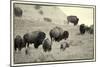 1567 Badlands B&W-Gordon Semmens-Mounted Photographic Print