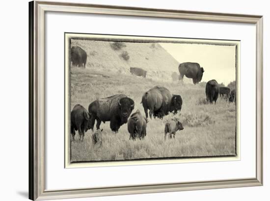 1567 Badlands B&W-Gordon Semmens-Framed Photographic Print