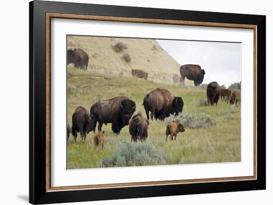 1567 Badlands-Gordon Semmens-Framed Photographic Print