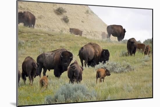 1567 Badlands-Gordon Semmens-Mounted Photographic Print