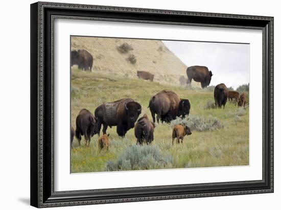 1567 Badlands-Gordon Semmens-Framed Photographic Print