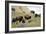 1567 Badlands-Gordon Semmens-Framed Photographic Print