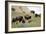 1567 Badlands-Gordon Semmens-Framed Photographic Print