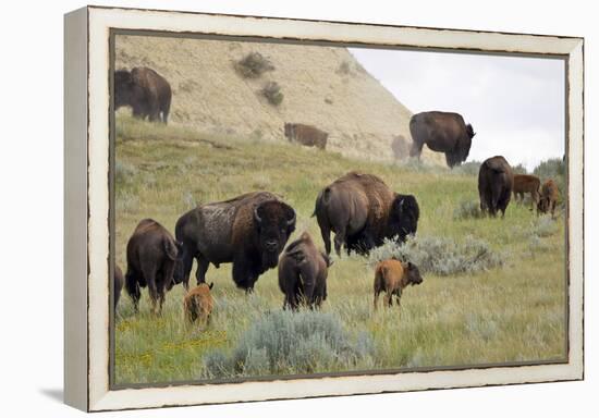 1567 Badlands-Gordon Semmens-Framed Premier Image Canvas