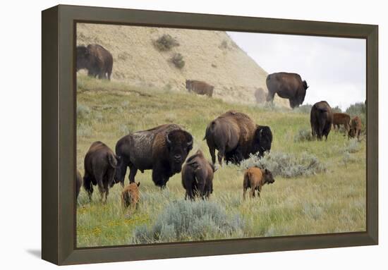 1567 Badlands-Gordon Semmens-Framed Premier Image Canvas