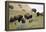 1567 Badlands-Gordon Semmens-Framed Premier Image Canvas