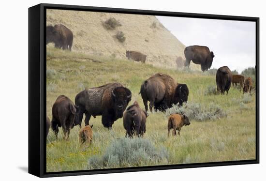 1567 Badlands-Gordon Semmens-Framed Premier Image Canvas