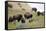 1567 Badlands-Gordon Semmens-Framed Premier Image Canvas