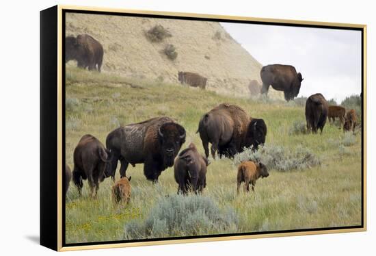 1567 Badlands-Gordon Semmens-Framed Premier Image Canvas