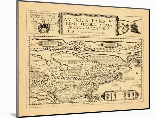 1593, Florida, Baccalaos, Canada, North America-null-Mounted Giclee Print