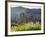 15th Century Fortified Church, Biertan, Nr. Sighisoara, Transylvania, Romania-Peter Adams-Framed Photographic Print