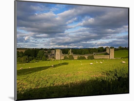 15th Century Walls around Augustinian Monestary, Kells, County Kilkenny, Ireland-null-Mounted Photographic Print